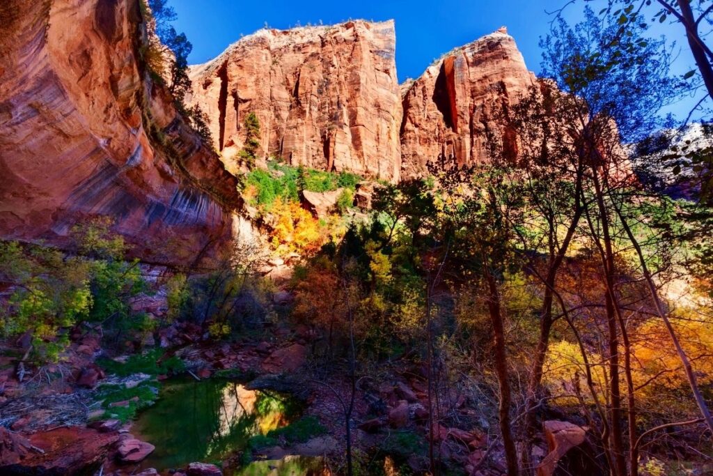 A green pool with towering canyon walls in the background