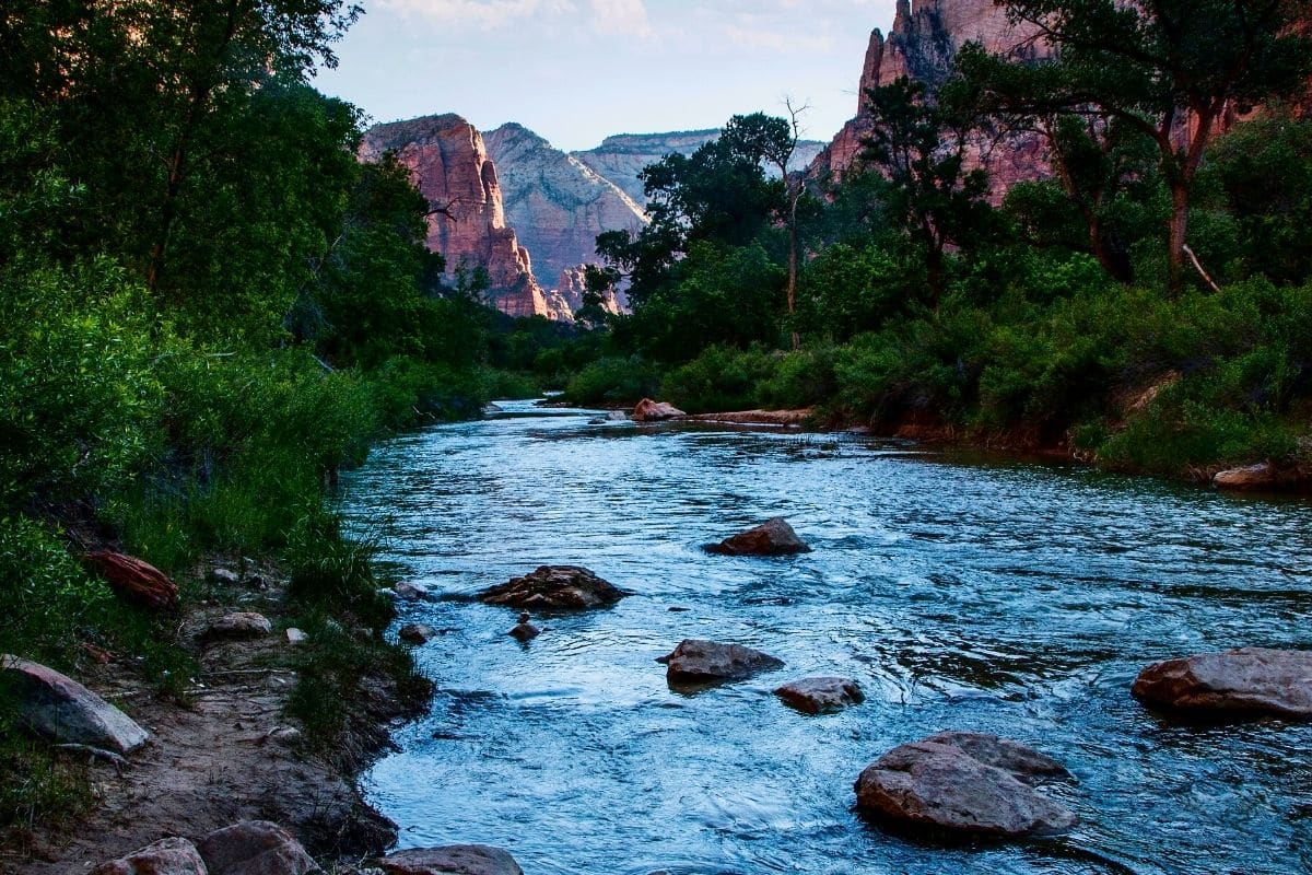 Zion National Park Swimming Can You Swim In Zion National Park? (2024