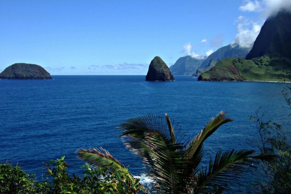 A topical volcanic island shoreline