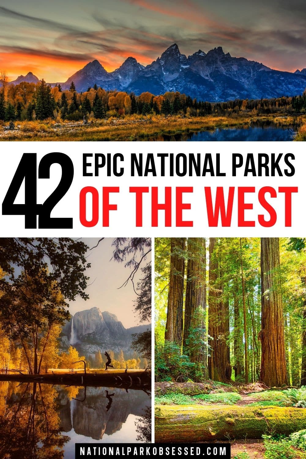 West Coast National Parks: The Definitive List For 2022 - National Park