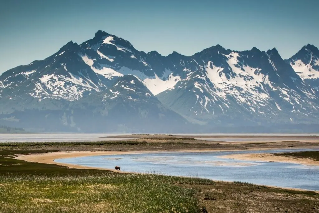 A girzzly walks by a river over looking a mountain range