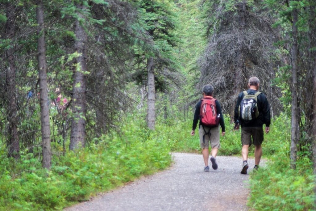 Two hikers along a hiking trail.