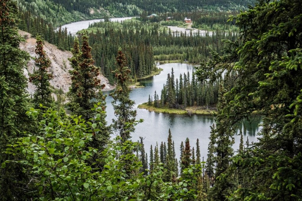 Looking down on a coniferous forest with a lake
