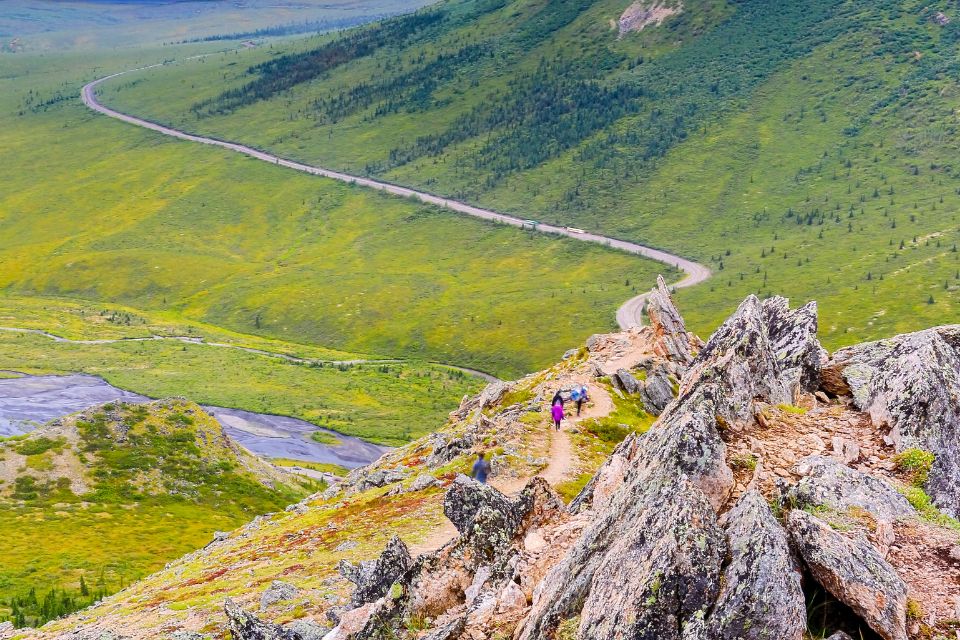 Hikers on a rugged trail with a sweeping view of the park road winding through the vast, verdant landscape of Denali National Park.