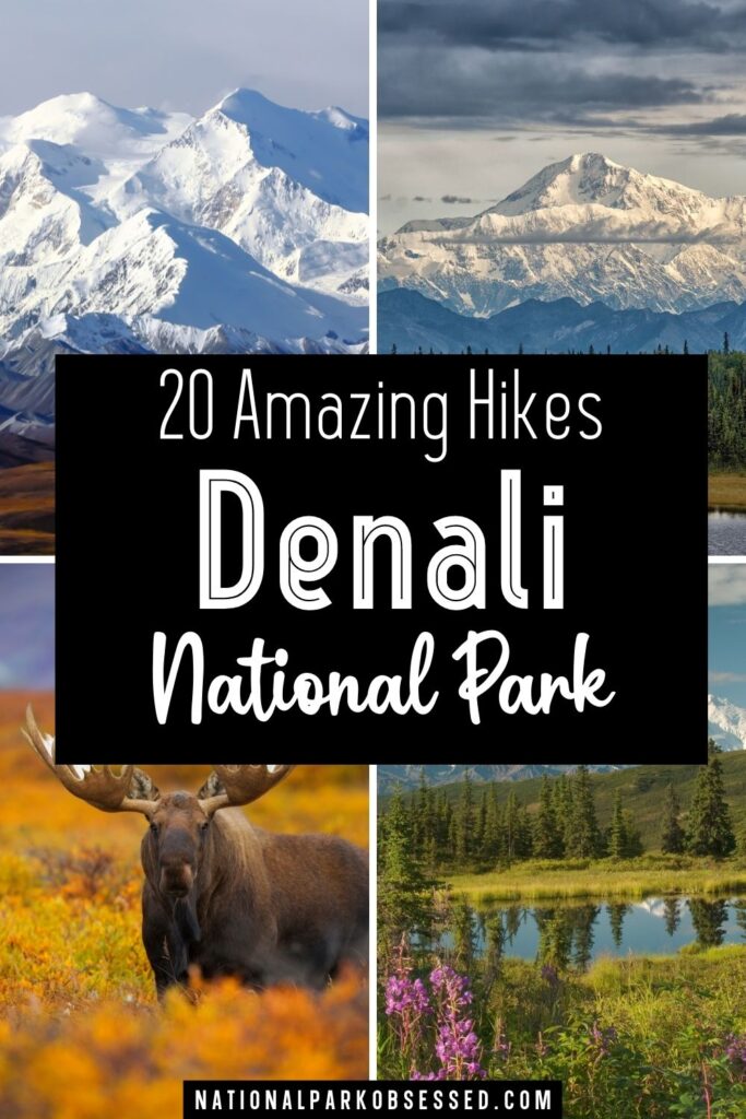 Want to see more of Denali National Park than just a bus tour?  Click HERE to find out about the best hikes in Denali National Park.  We break down each of Denali's hikes.

Hiking Denali / Denali Hiking / Best Hiking in Denali / Things to Do in Denali / Things to do Denali