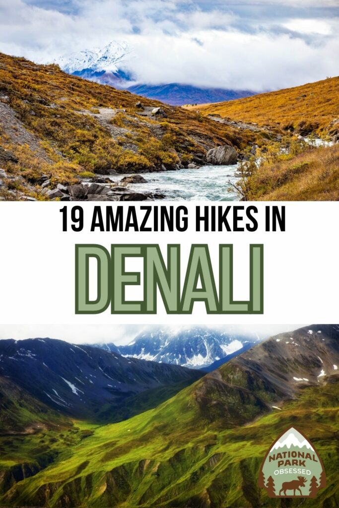 Want to see more of Denali National Park than just a bus tour? Click HERE to find out about the best hikes in Denali National Park. We break down each of Denali's hikes.