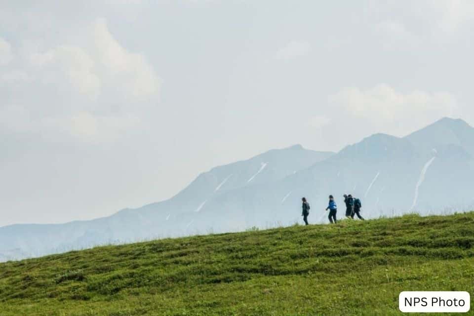 Hikers silhouetted against the sky on a grassy ridge with the expansive mountain range of Denali National Park in the background.