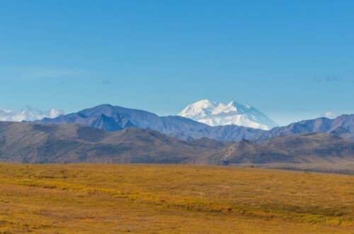 The vast, undulating tundra of Denali National Park, with the majestic Denali Mountain rising in the clear blue distance.