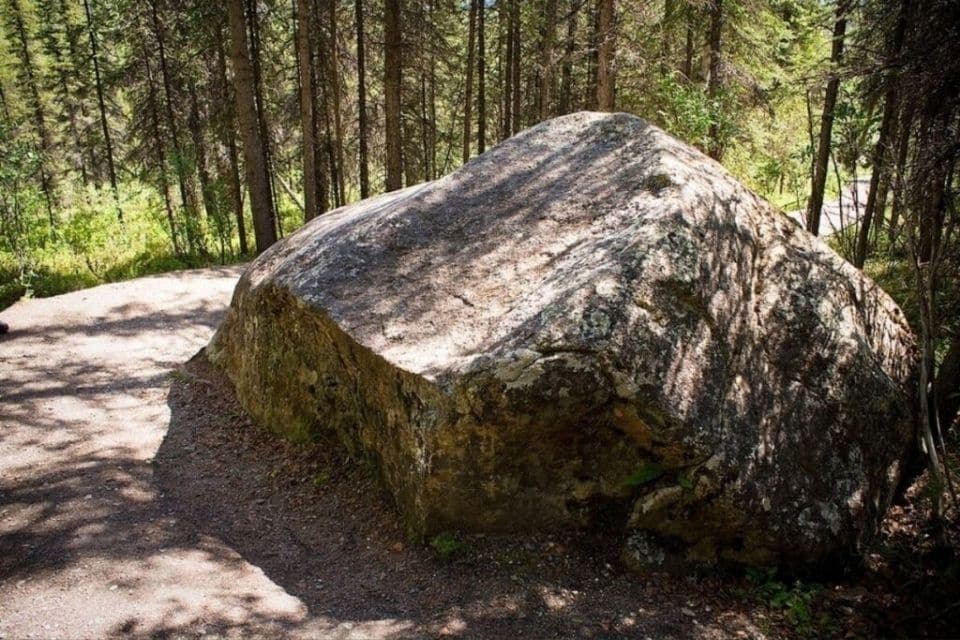A large glacial erratic boulder resting beside a dirt hiking trail in the coniferous forest of Denali National Park.