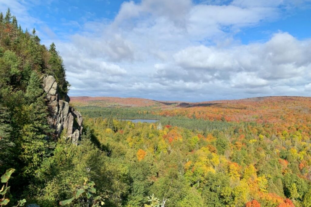A fall forest landscape with a rocky outcropping