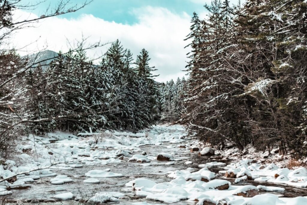 A snowy river flows through a forest