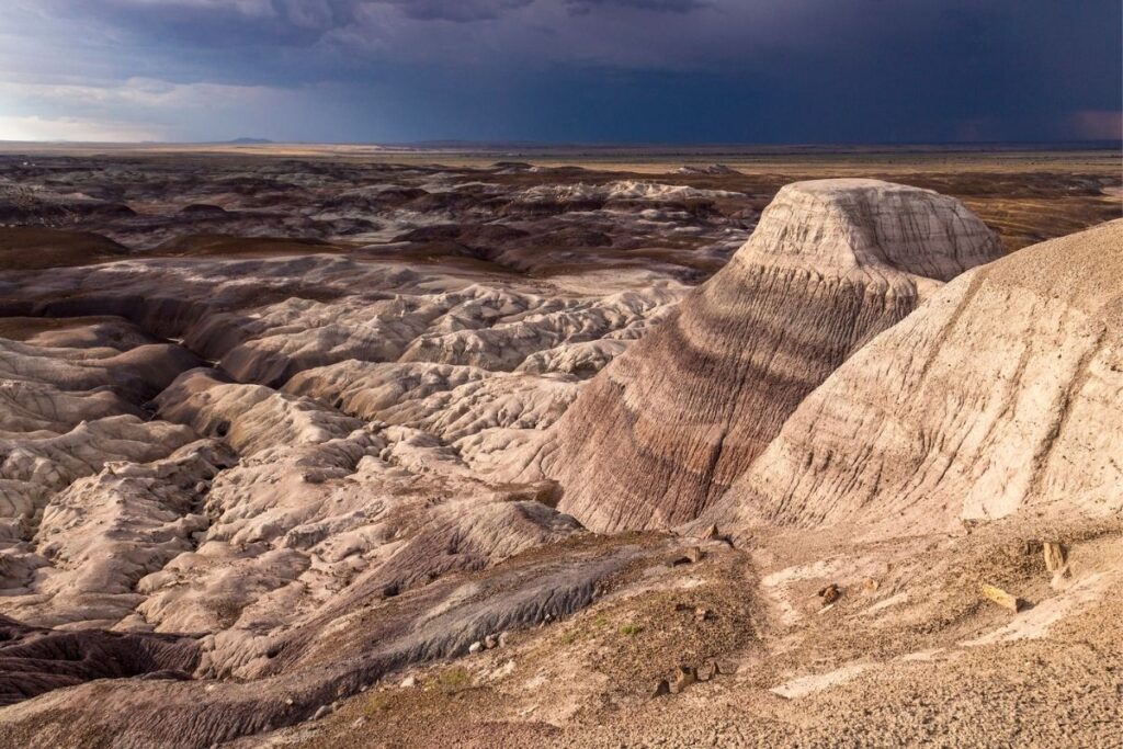 Badlands with various shades of brown.