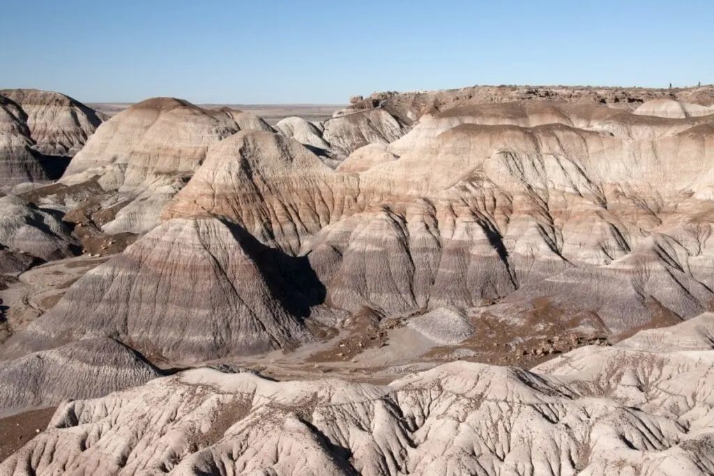 15 Absolute Best Hikes In Petrified Forest National Park For 2022 