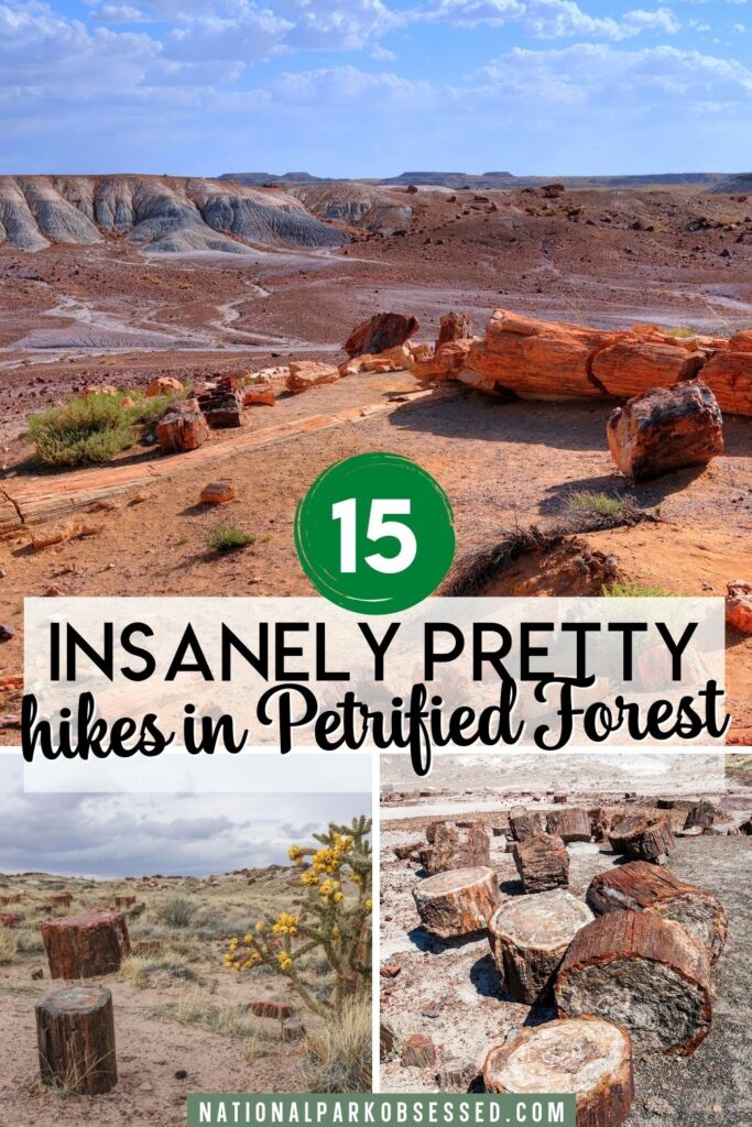 Looking for the best Petrified Forest Hikes? Click HERE to find out about the best hikes in Petrified Forest National Park.   We will break down the best Petrified Forest hikes for you.

hiking petrified forest national park / painted desert rim / painted desert trail / agate bridge petrified forest national park	