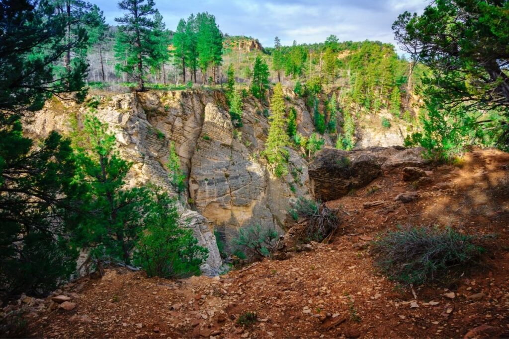 A hiking trail runs along the edge of a green canyon. 