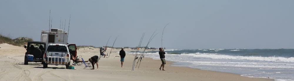 several people fishing from the shore with their vehicles on the beach