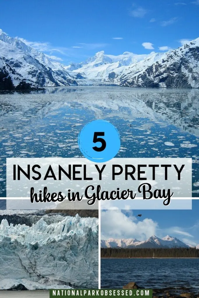 Glacier Bay is famous for glacier tours, but that doesn't mean hiking is an option. Click HERE to find out about the best hikes in Glacier Bay National Park.
Glacier Bay Hiking / Glacier Bay Cruise / Things to do in Glacier Bay National Parks / Hiking in Glacier Bay National Park / Glacier Bay Hikes / Glacier Bay National Park Hike