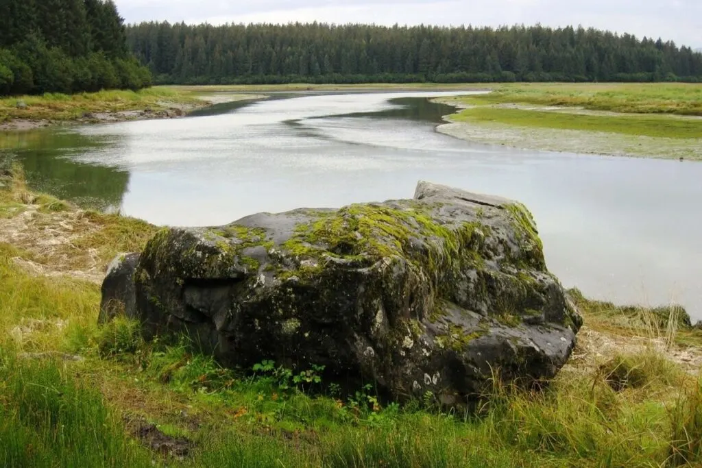 Glacier erratic along the Bartlett River