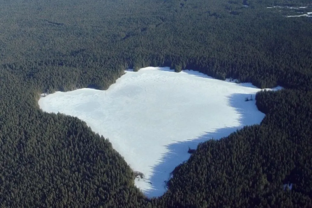 An aerial view of a lake in a forest