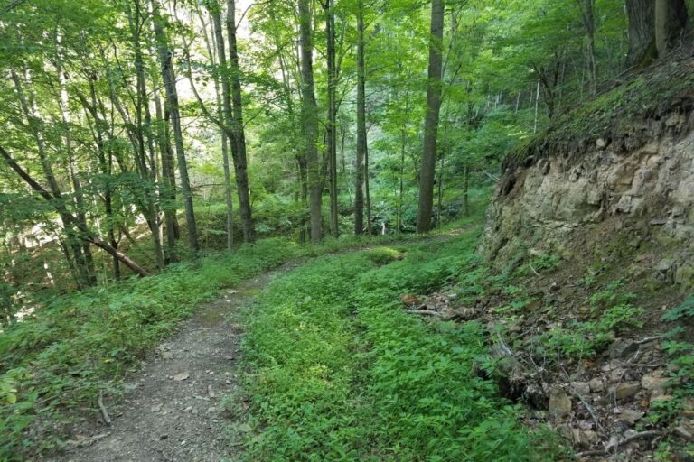 The 20 ABSOLUTE Best New River Gorge Hikes For 2024 - National Park ...