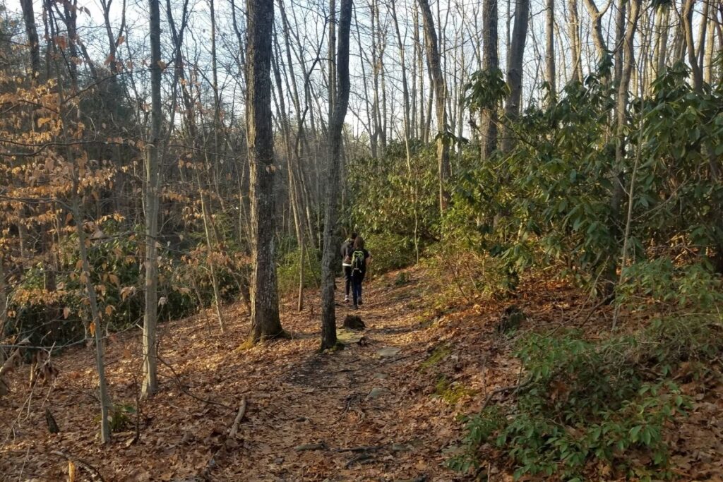 A hiking trail at fall