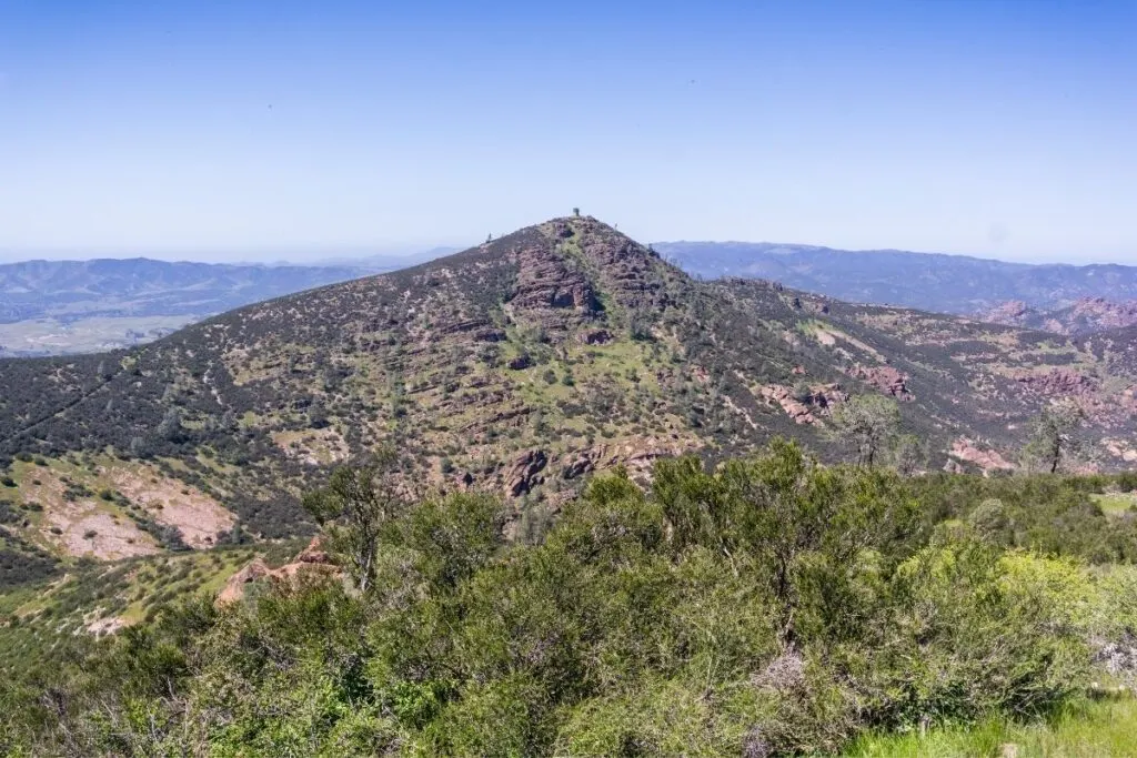 A view of a sparkly brushy peak
