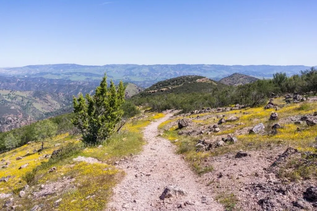A hiking trail in Pinnacles