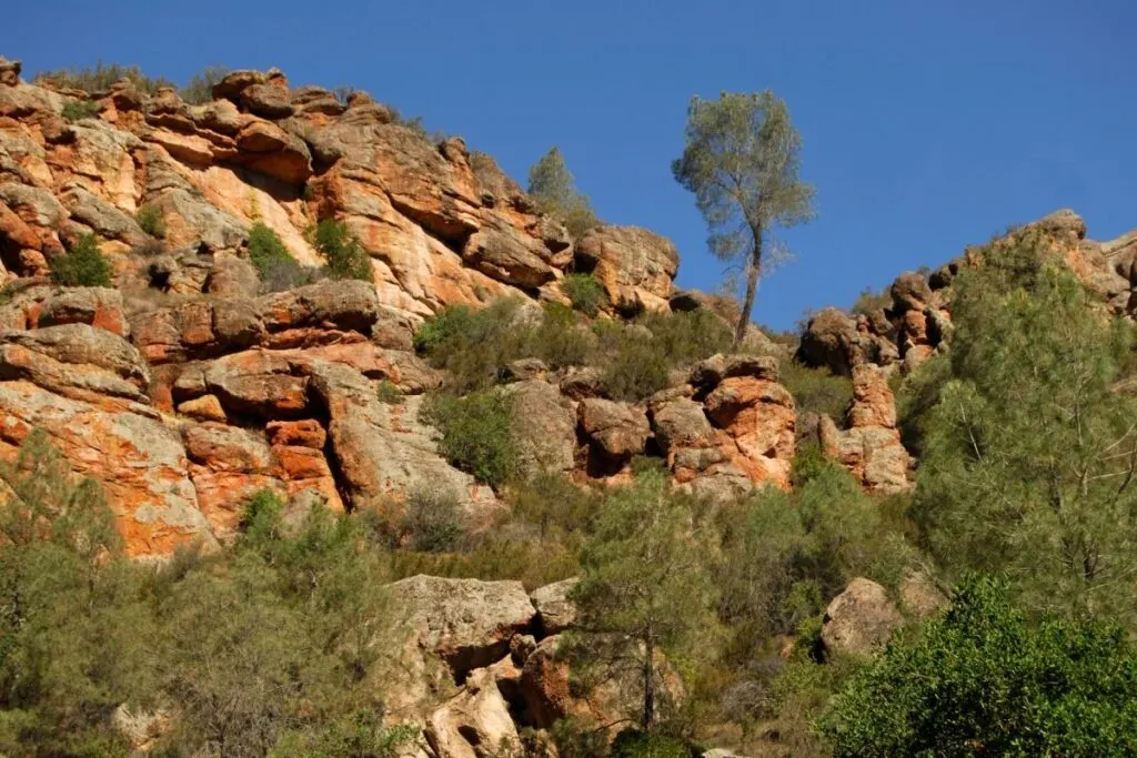 Orange granite cliffs