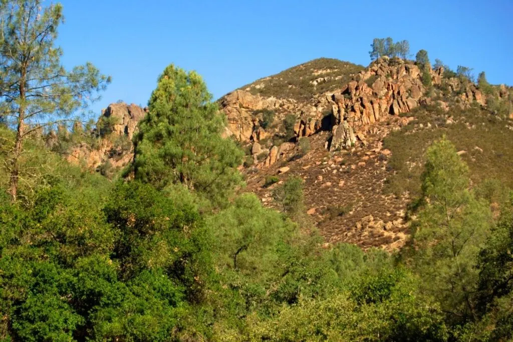 A line of rock sticking out of a hill