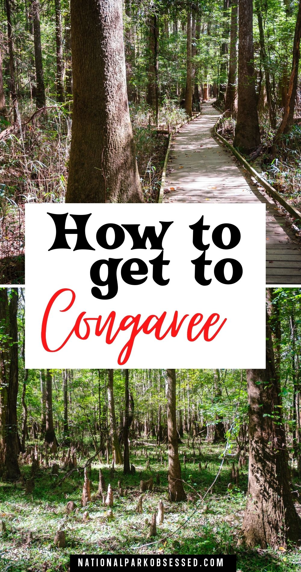 How To Get To Congaree National Park In 2024 - National Park Obsessed