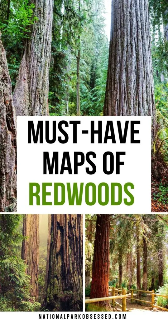 Looking for a Redwoods National Park Map to help with your trip planning?  Here are all the necessary maps of Redwoods National Park to plan your trip.

map redwood forest / redwood forest map / redwood national forest map	/ map of redwood national park California / maps of redwood national park / redwoods national park map	 redwood national park map pdf / redwood national and state parks map	
