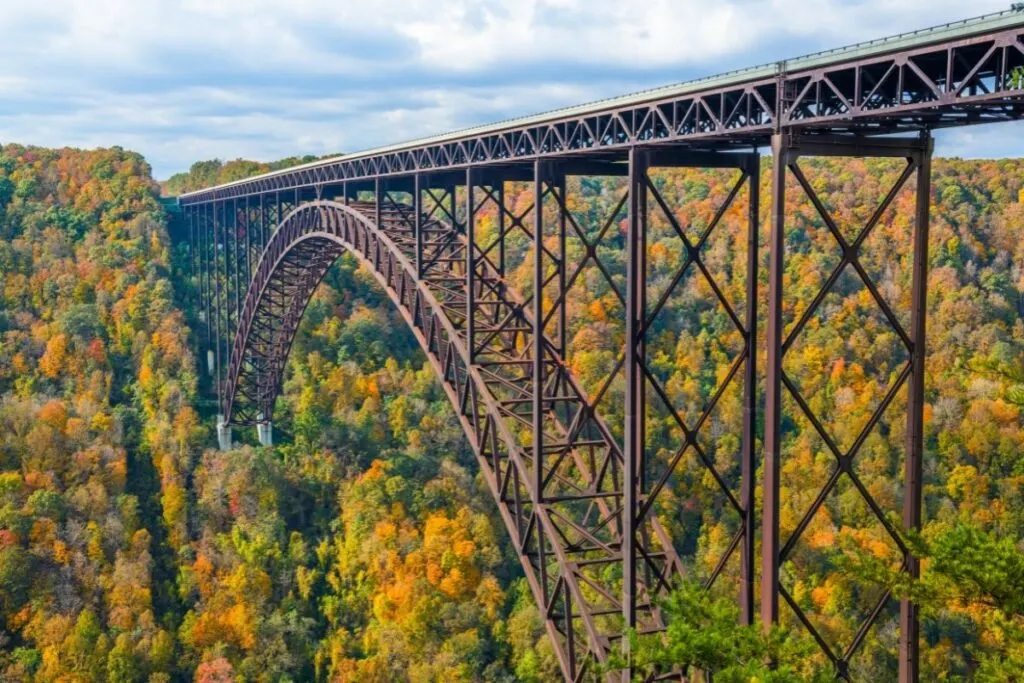 A steel truss bridge over a forest valley