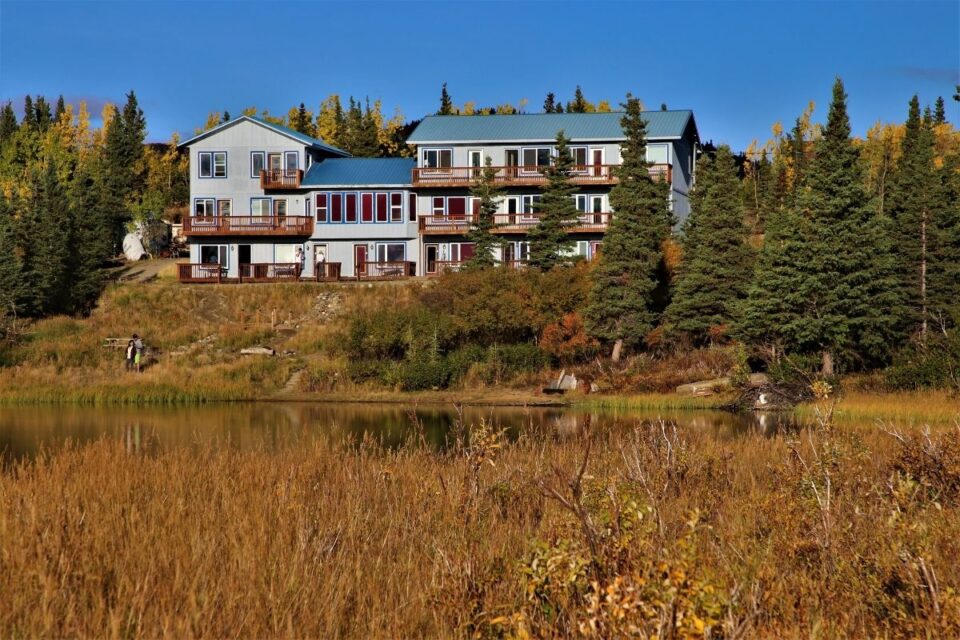 Where To Stay In Denali National Park? 14 Best Denali Hotels National