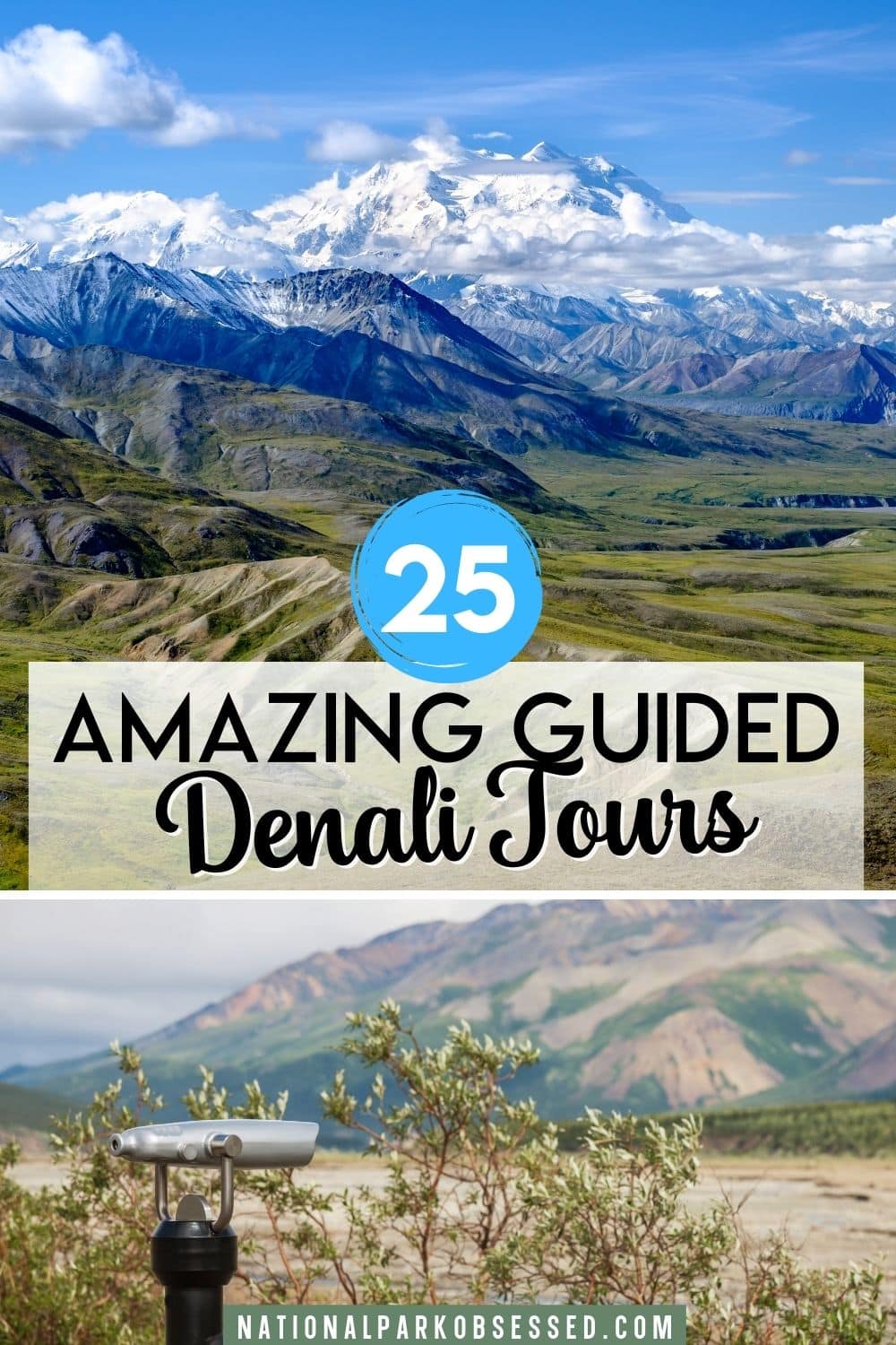 best denali national park tours