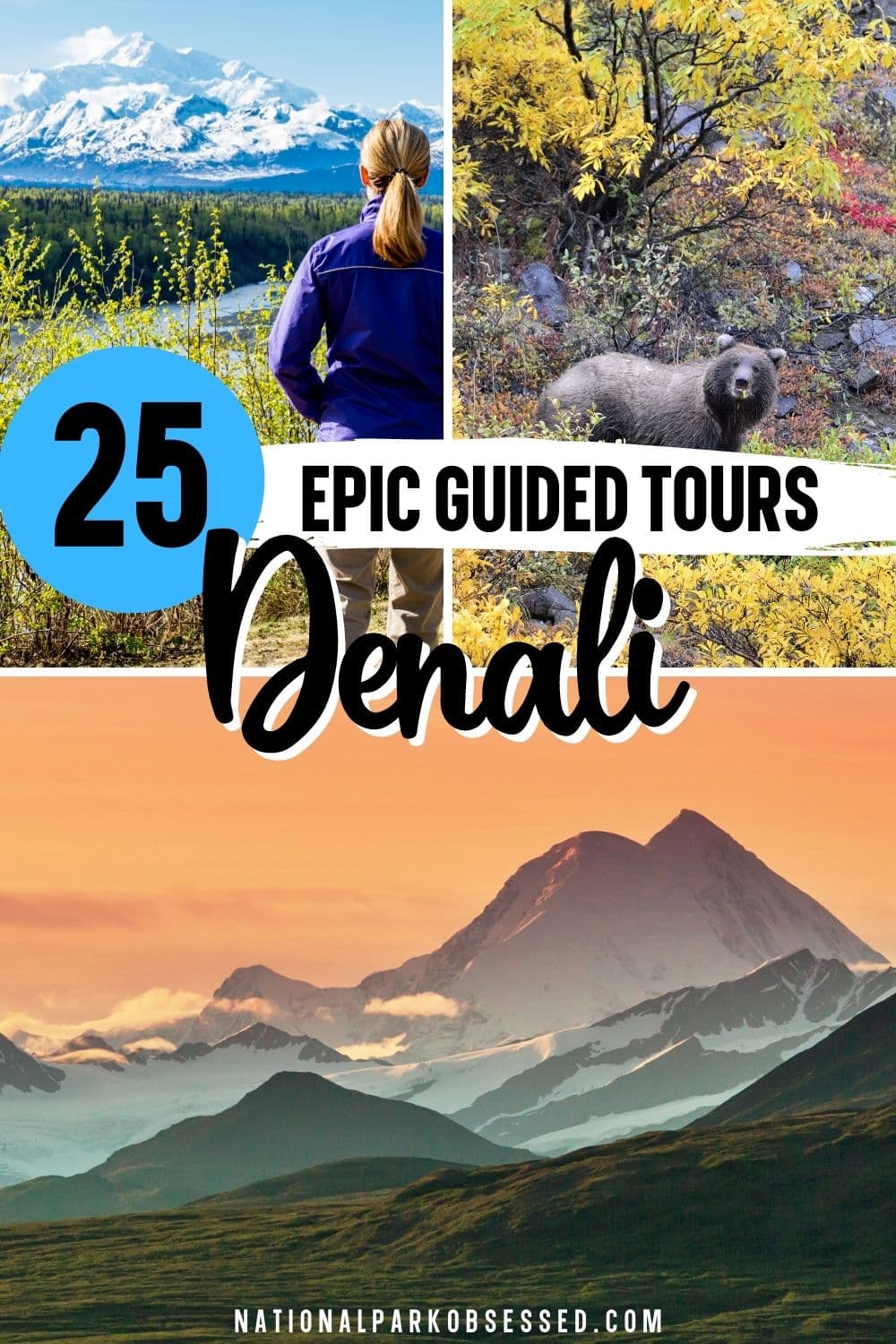 25 AMAZING Denali National Park Tours For 2023 - National Park Obsessed