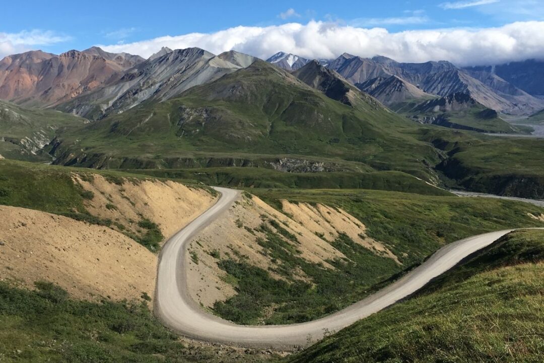 DENALI NATIONAL PARK AND PRESERVE TOURS visual data 3