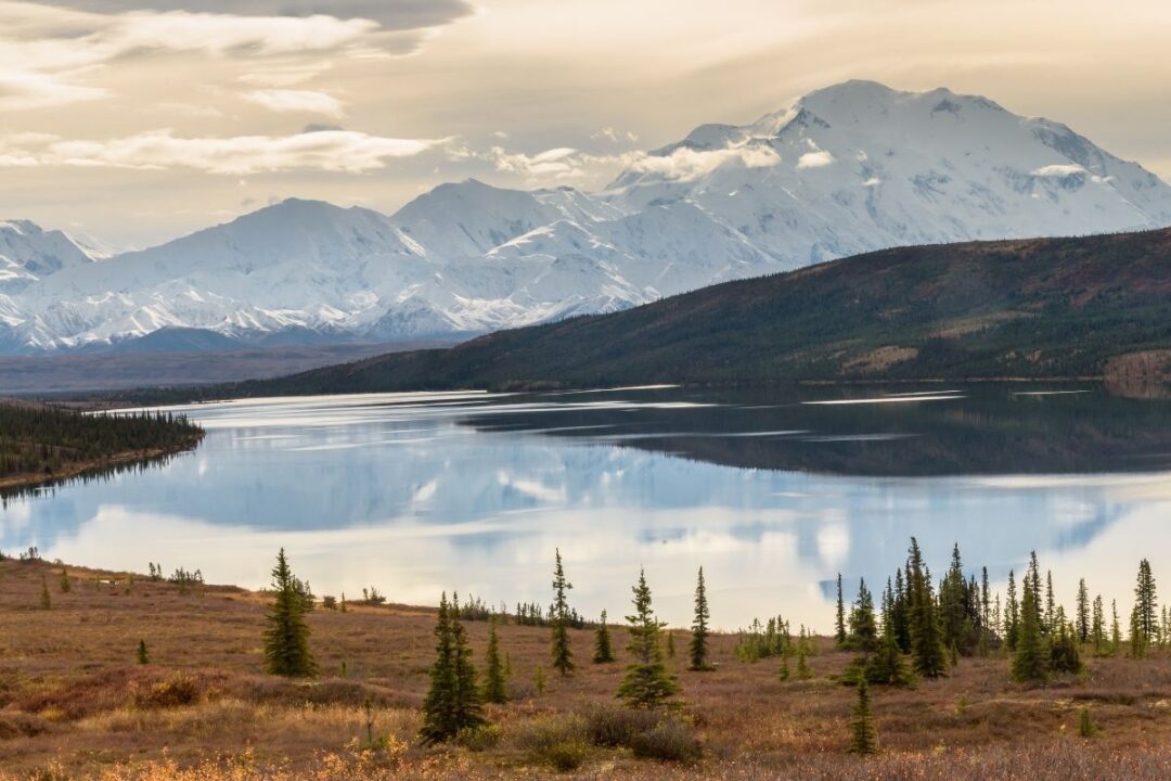 25 AMAZING Denali National Park Tours For 2026 - National Park Obsessed