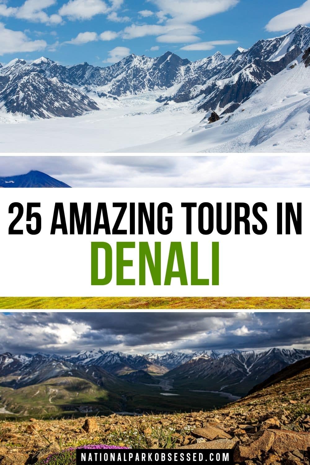 DENALI NATIONAL PARK AND PRESERVE TOURS visual data 2