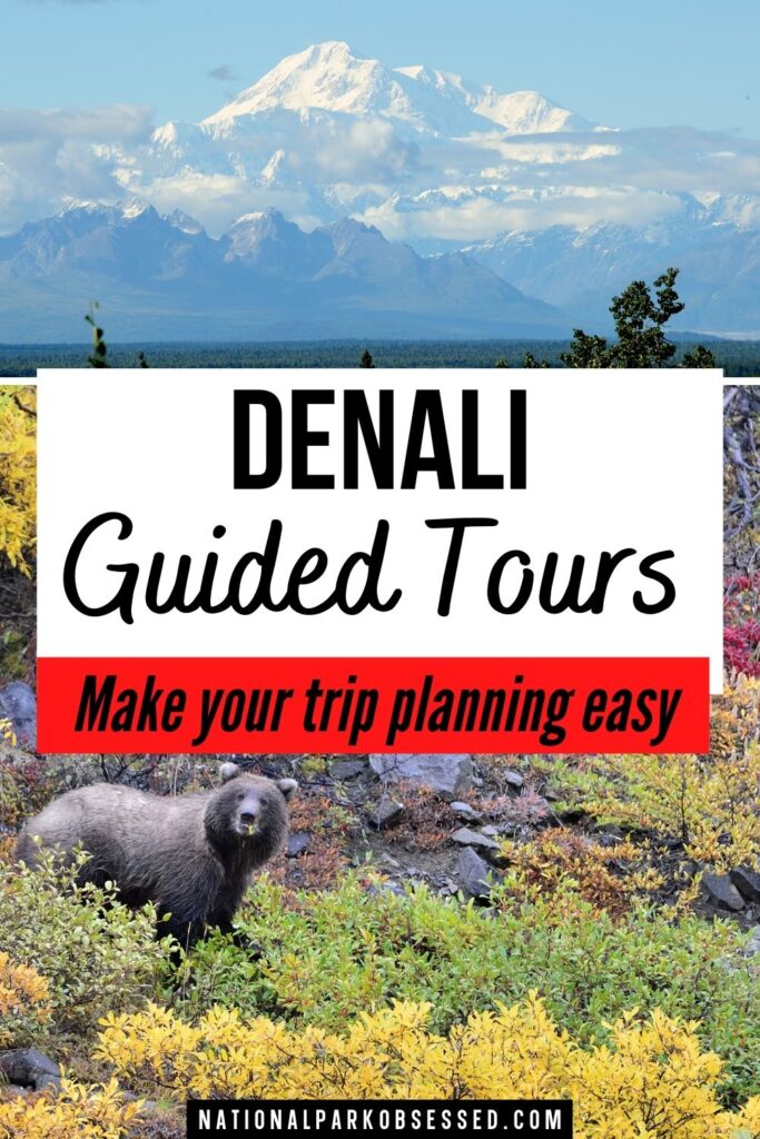 Want to make your Denali Trip Planning easy? Here are the Best Denali Tours. Sit back and let this Denali guide deal with parking and traffic.

best guided tours in Denali/ best tours of Denali/ tours to Denali/ guided tours to Denali national park / tours in Denali / Denali national park tour	
