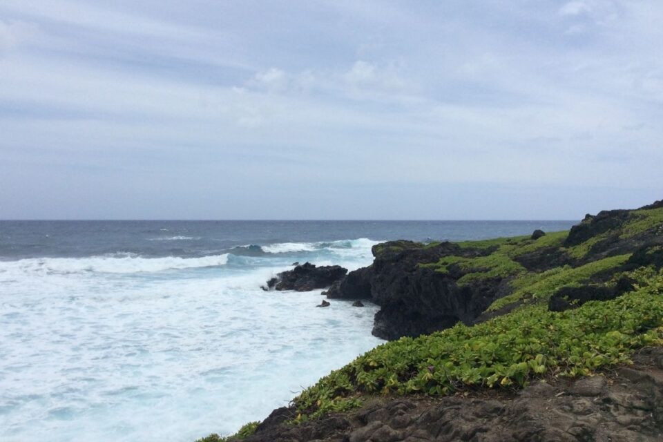 7 ABSOLUTE Best Haleakala Hikes For 2022 - National Park Obsessed