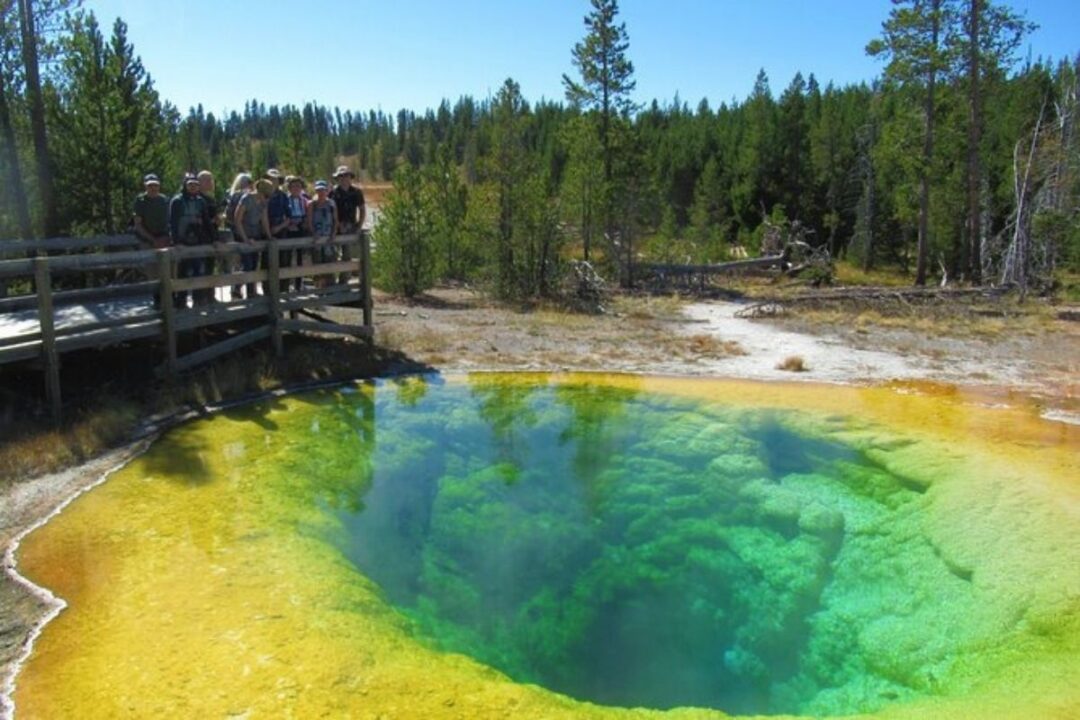 18 ABSOLUTELY Best Yellowstone Tours For 2024 National Park Obsessed