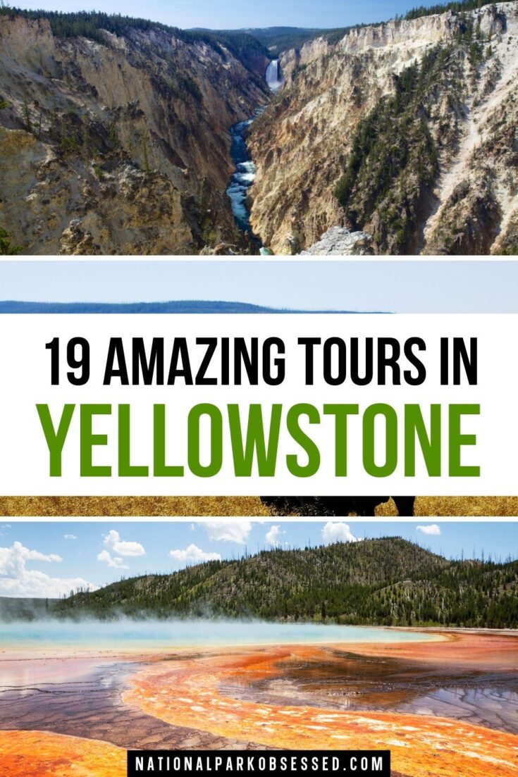 yellowstone national park tours 2022
