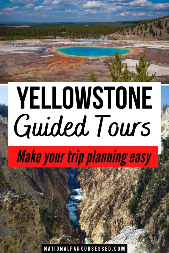 18 Absolutely Best Yellowstone Tours For 2022 - National Park Obsessed