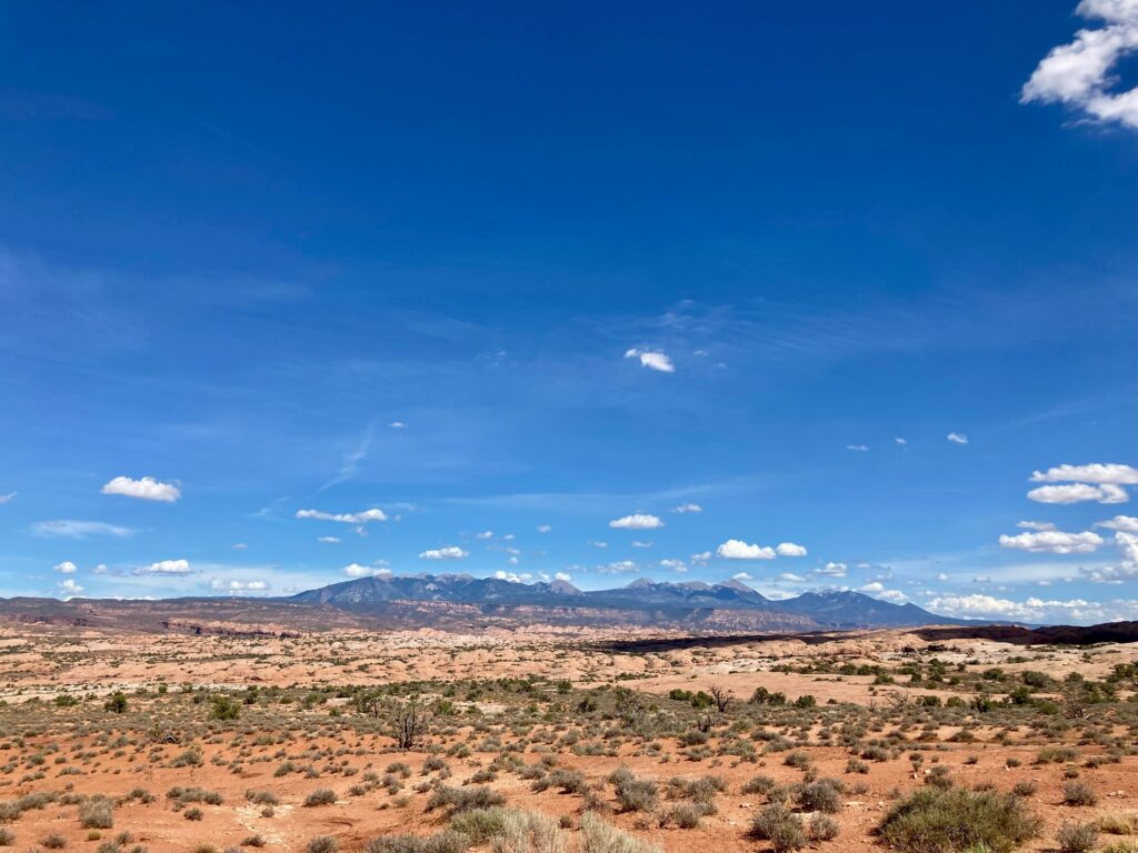 A desert landscape with mountains in the background. 
