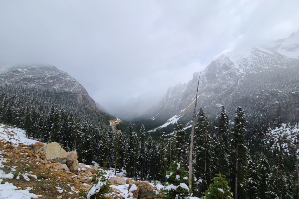 A snow covered mountain pass in North Cascades National Park.