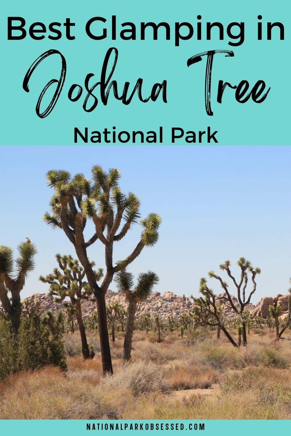 Joshua Tree Glamping 16 Best Glamping In Joshua Tree National Park In 2024 National Park Obsessed 