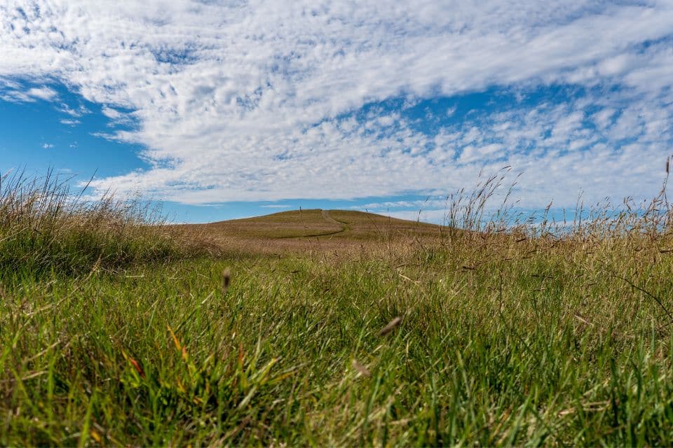 The tall grass prairie of Tallgrass Prairie National Preserve