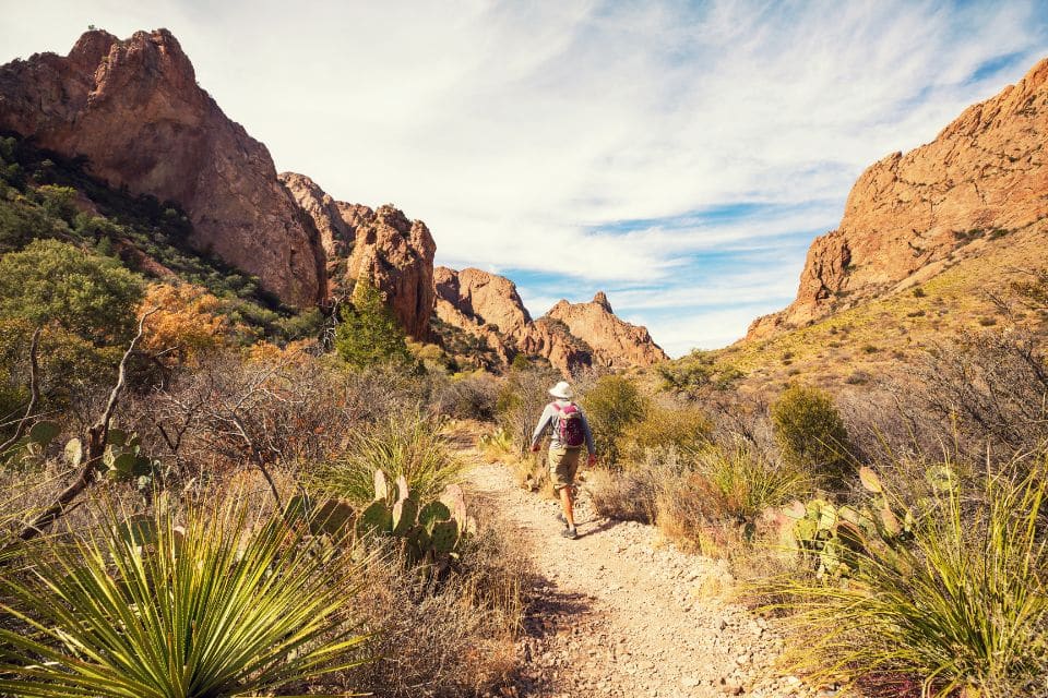 A hiker on a desert trail surrounded by various cacti and yucca plants, with tall, rugged mountains rising in the distance under a cloudy sky.