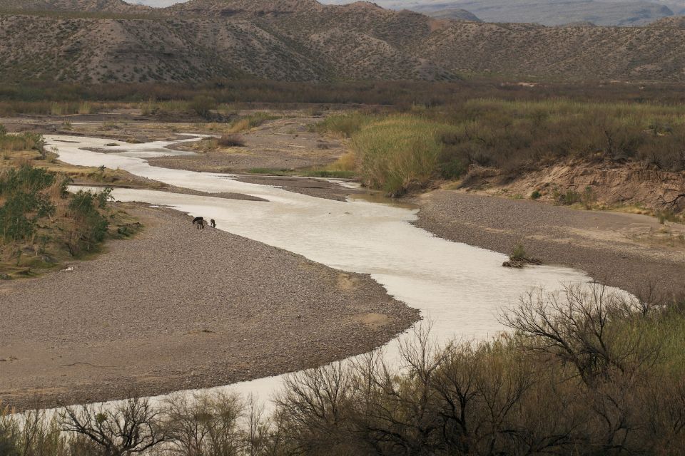 A wide, shallow river meandering through a desert landscape with sparse vegetation on the banks and mountains in the distance.