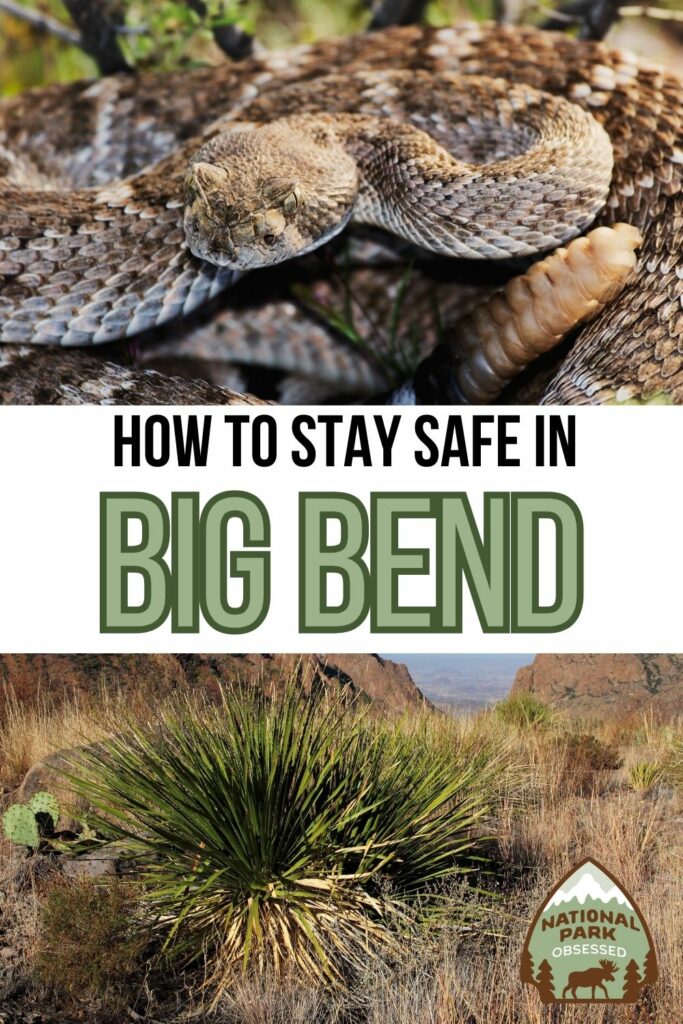 Is Big Bend National Park Safe? Learn about the dangers in Big Bend and tips and tricks for staying safe in Big Bend National Park.